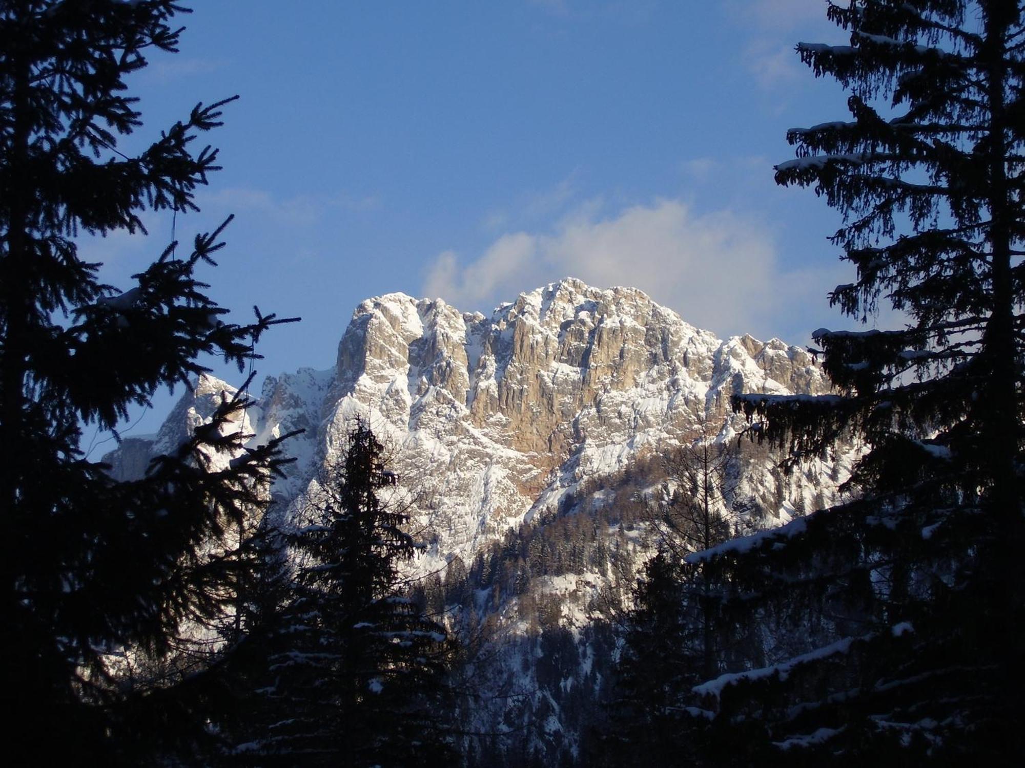 Residence Regina Delle Dolomiti Rocca Pietore Eksteriør bilde